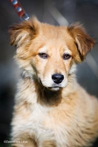 ������� ���� � ����� ������� ����! � ���!