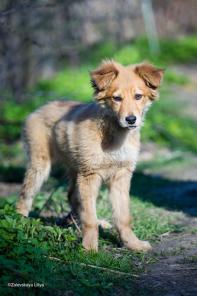 ������� ���� � ����� ������� ����! � ���!