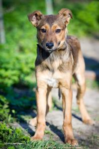 ������ ���� ������� � ����! � ���!