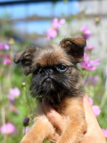 ����� ������������� � ������������ ��������.