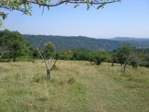 ������ ������� �� ׸���� ����