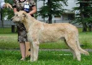 ���������� �������� �����