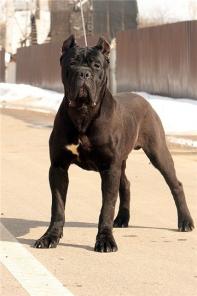 �������� ����� �� �������� ����  2013 �