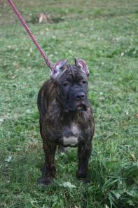 �������� ����� �� �������� ����  2013 �