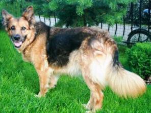 �����, ������������� �������� ������� � ���