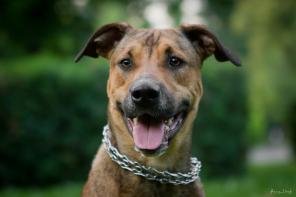 � ��� ����� �������� �����