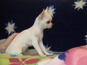 ������ ������ ������ ��������  � ���-�� ���