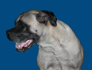 ��-��-�� ��������� � ���!