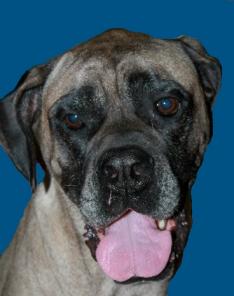 ��-��-�� ��������� � ���!