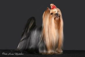 ����������� ������ ��� �����. �������������. ���.