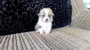 ����� ����� ������� �� ������������ ���������!