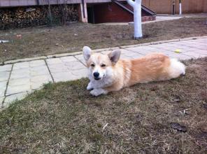 ����� ����� ������� �� ������������ ���������!