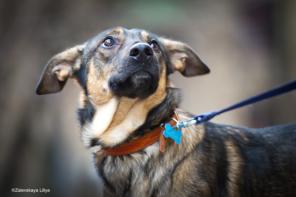 ����� ������� � ������ ����.