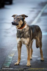 ����� ������� � ������ ����.