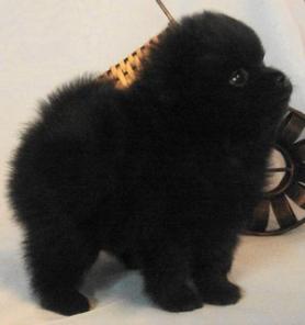 ���� ��������� ������ � �����