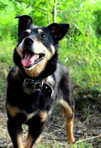 ������� ������� ���� ���� ���