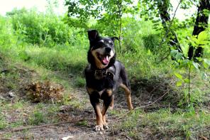 ������� ������� ���� ���� ���