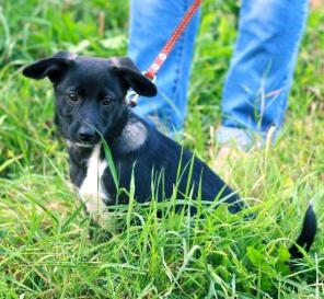 ��������� �������� � ���!