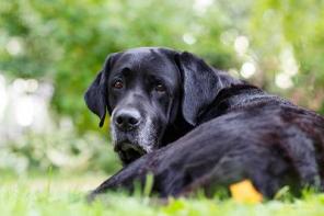 �������� �������� ������� � ���