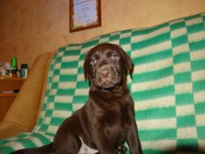 ׸���-���������� �������! ����� ���������