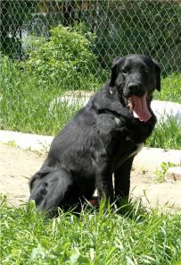 ������ ���� ������ ��������� � ������ ����!