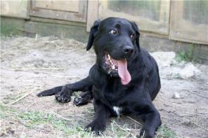 ������ ���� ������ ��������� � ������ ����!