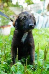 �������������� ����� � ���