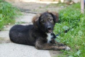 �������������� ����� � ���