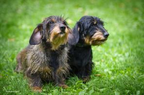 ��� ����������� ����� � ���� ����� � ���