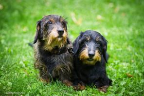 ��� ����������� ����� � ���� ����� � ���