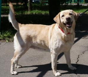 ������� ��������� ����, ������� �������� ���� ����� ���.