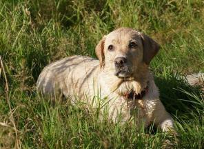 ������� ��������� ����, ������� �������� ���� ����� ���.