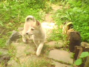 �����, ����� �����