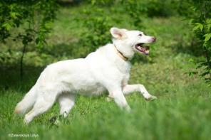 ������������� �������� ����� ������ ���� ������ �������.