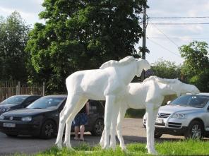 ������� �������� 10 ����� 9 �� �� ���� � �. ����������,