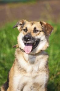 �������� ��� ������� � ������ ����(� ���)