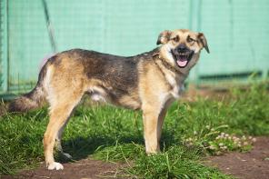 �������� ��� ������� � ������ ����(� ���)