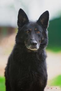 �������� ����� ����� ���� �����