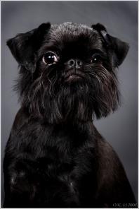 ����� ������������ ������������� ��������