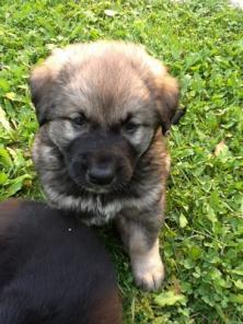 ������ �������� � �����