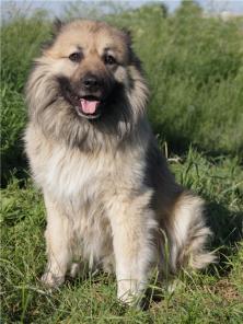 ������������ ������ ���������� ������� ���� ���� ���