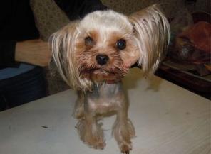 ������� ����� � ����� ��� �������