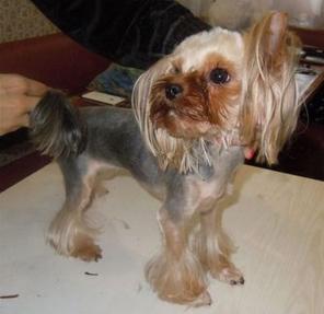 ������� ����� � ����� ��� �������