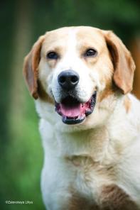 ��� - ������ ������� ����� ������! � ������ � ������������� ����!