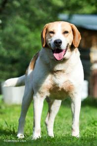 ��� - ������ ������� ����� ������! � ������ � ������������� ����!