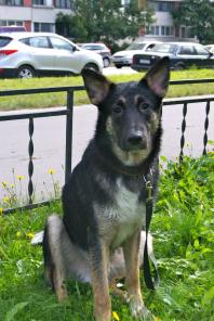 ����� � ���