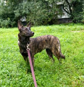 ����� � ���