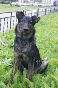 ����� � ���