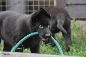 ����� �������� �������.