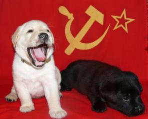 ����� ��������� ���������.